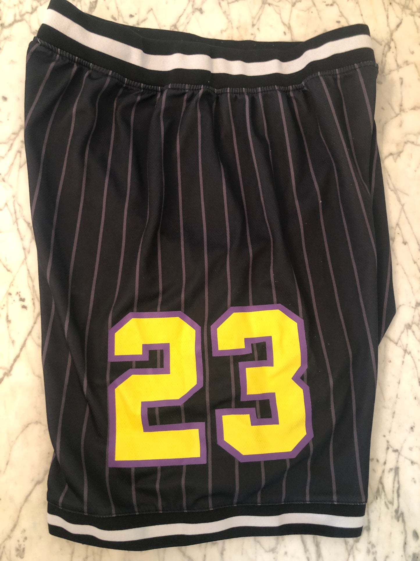 Los Angeles Lakers #23 Lebron James NBA Shorts - Sz: Medium